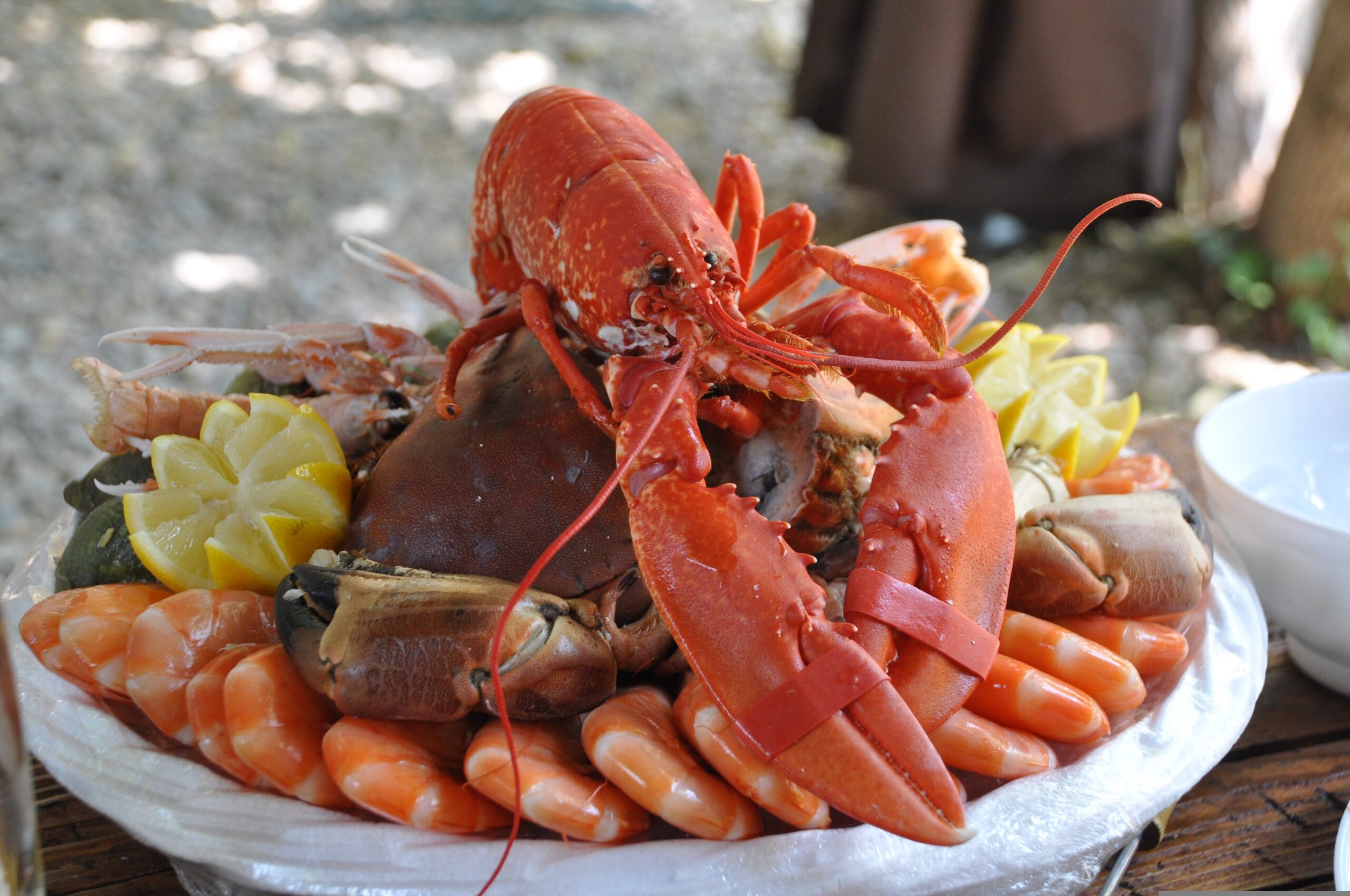 Galicia Gastronómico: Sabores Del Mar Y De La Tierra 2